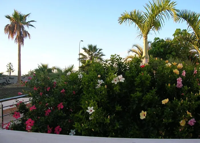 Appartement Parque Don José 341