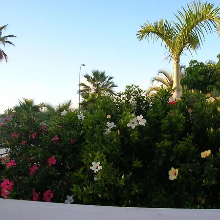 Appartement Parque Don Jose 341